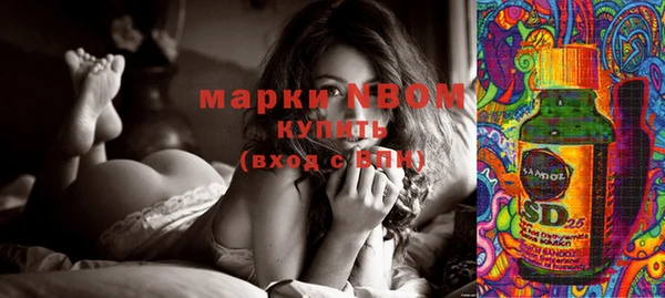 прущие грибы Хадыженск