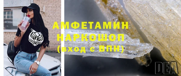 прущие грибы Хадыженск